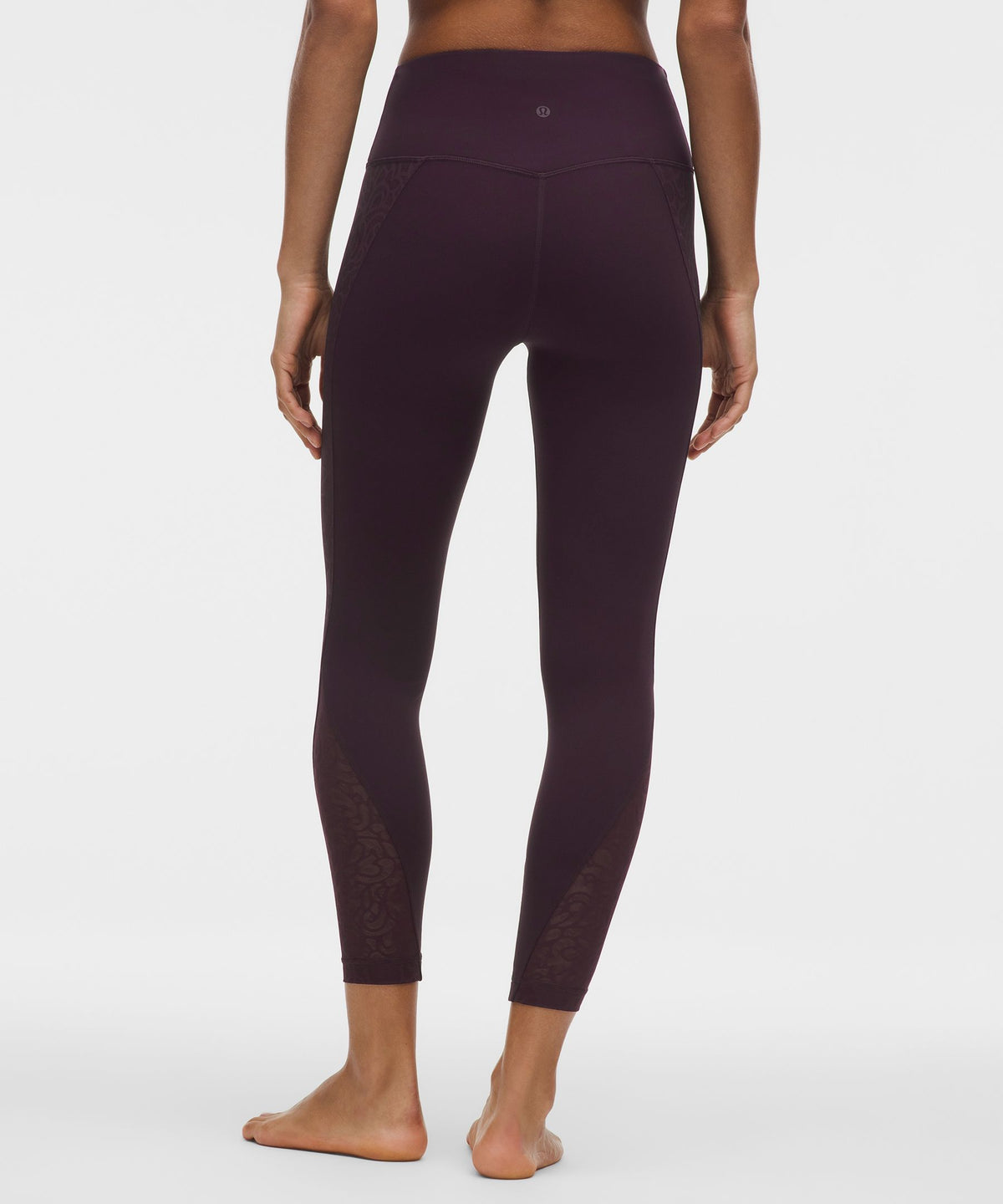 Paisley Lace Overlay Tight 25"